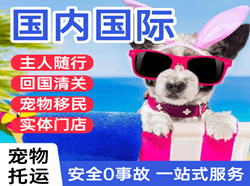 甘孜格萨尔机场物流国际宠物托运 【国